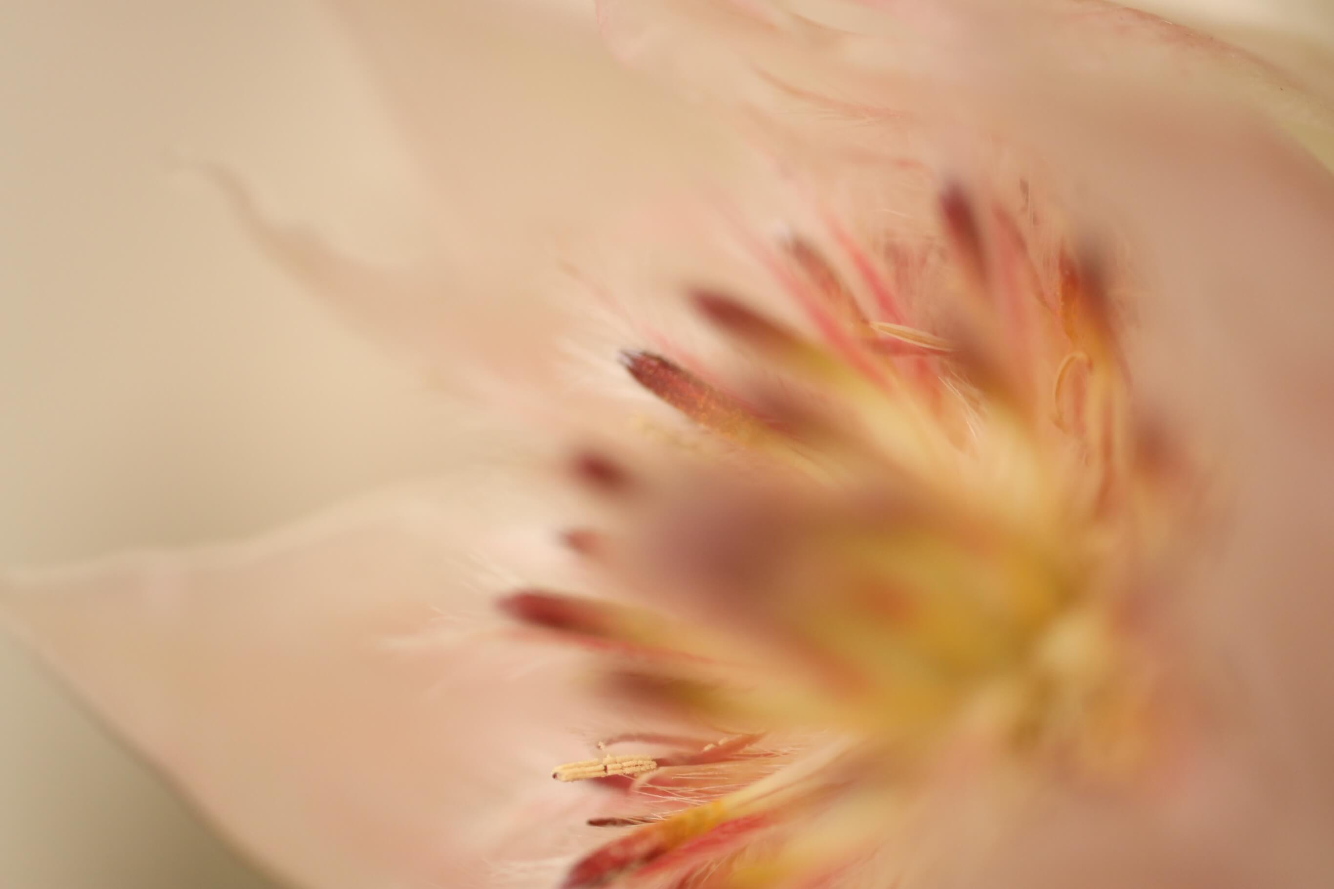 Message for joliyen’s fan