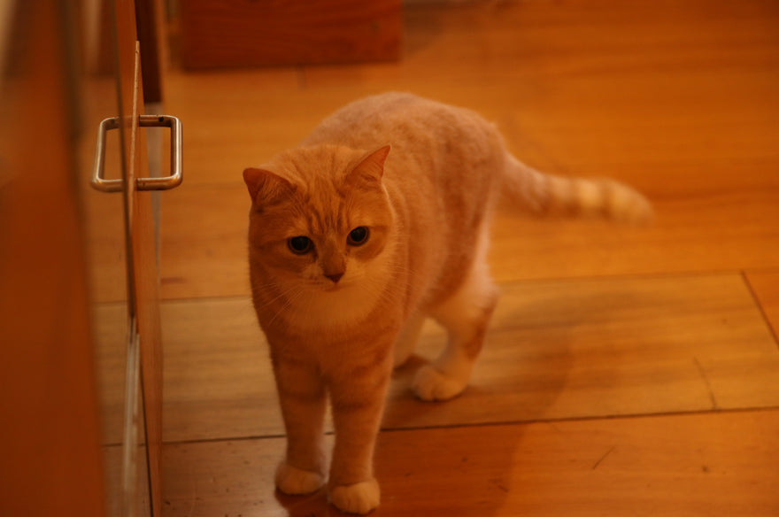 ヘアメイクアップアーティストGeorge